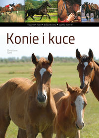 Konie i kuce
