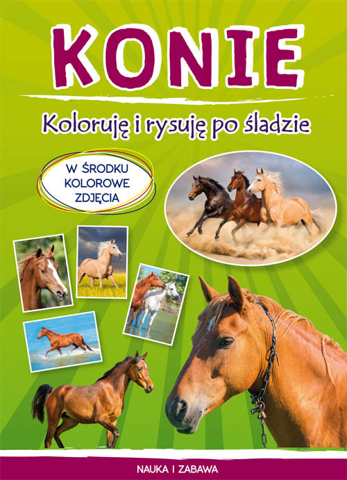 Konie Koloruję i rysuję po śladzie