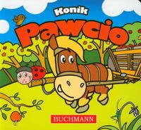 Konik Pawcio