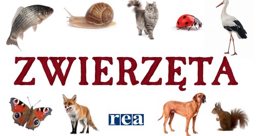 Kosmetyki naturalne DIY