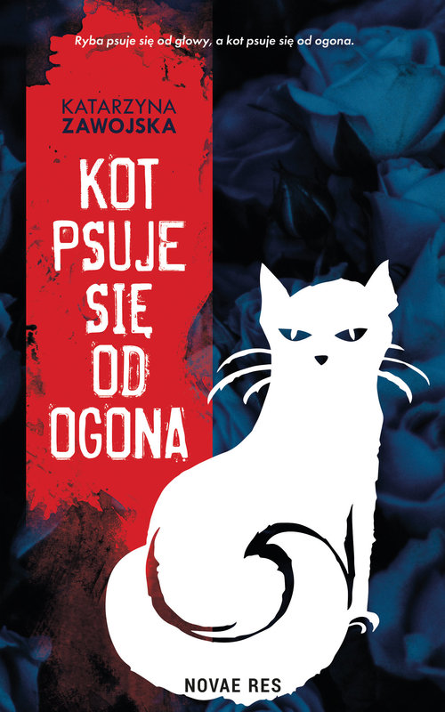 Kot psuje się od ogona