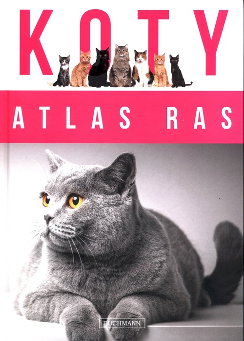 Koty Atlas ras