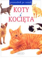 Koty i kocięta