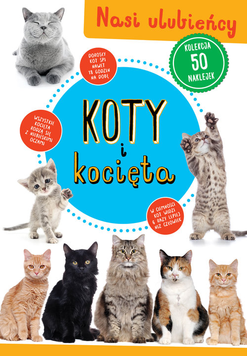 Koty i kocięta