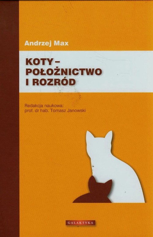 Koty - położnictwo i rozród