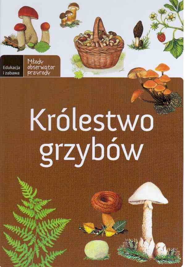 Królestwo grzybów