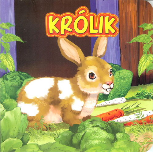 Królik