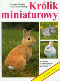 Królik miniaturowy