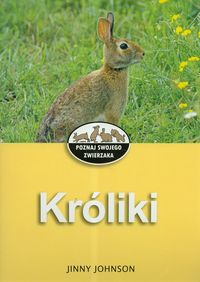 Króliki