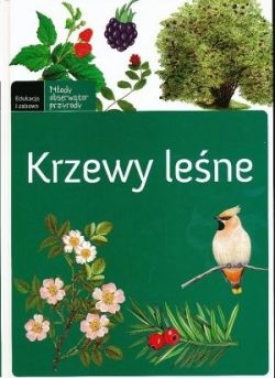 Krzewy leśne