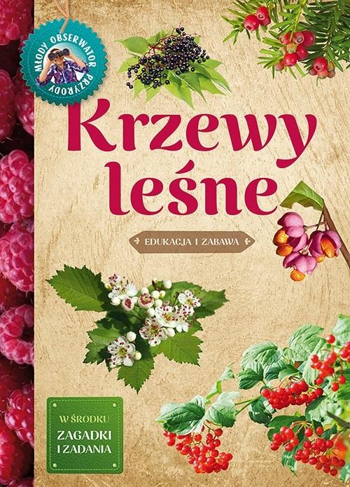 Krzewy leśne Edukacja i zabawa