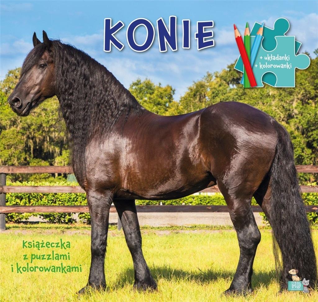 Książeczka z puzzlami i kolorowankami Kotki