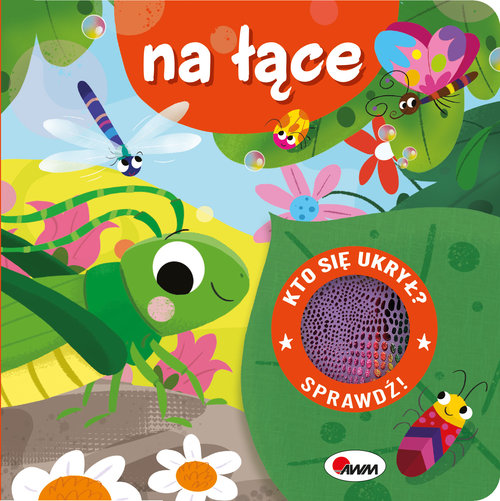 Kto się ukrył na łące z klapkami sensoryczna