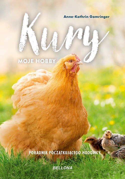 Kury moje hobby Poradnik początkującego hodowcy