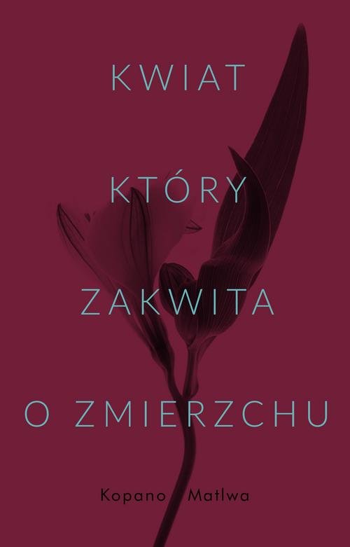 Kwiat który zakwita o zmierzchu