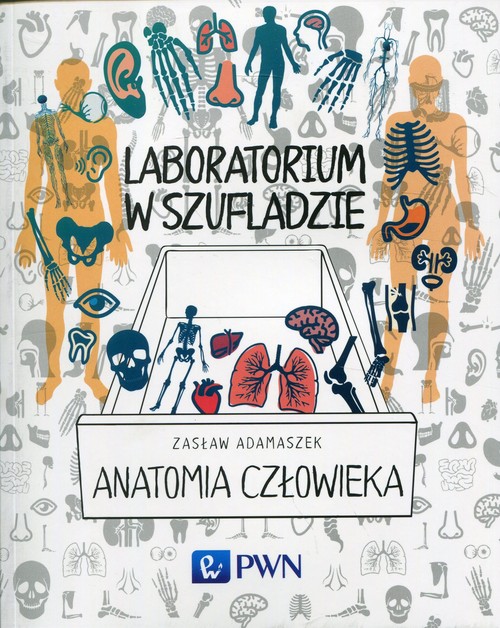 Laboratorium w szufladzie Anatomia człowieka