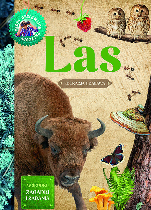 Las Młody Obserwator Przyrody