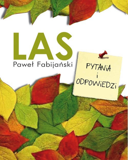 Las. Pytania i odpowiedzi