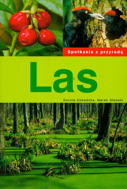 Las. Spotkania z przyrodą