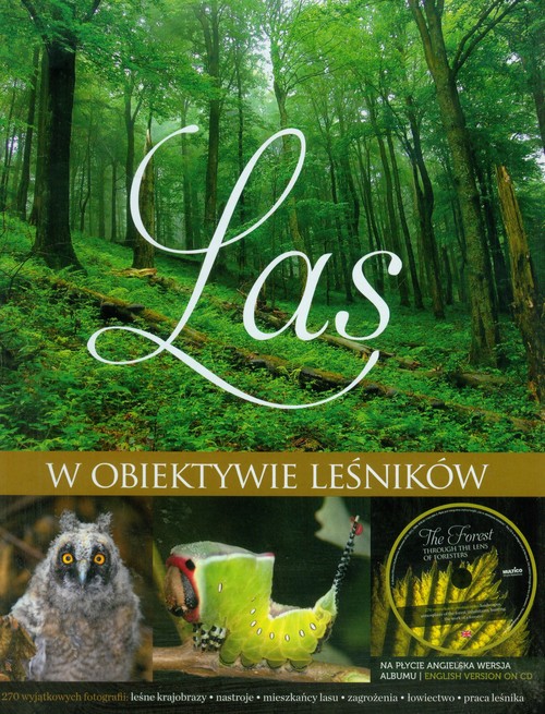 Las w obiektywie leśników
