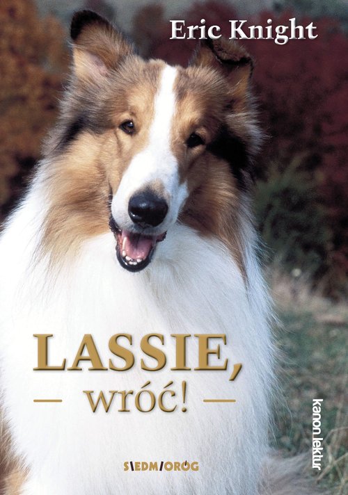 Lassie wróć!