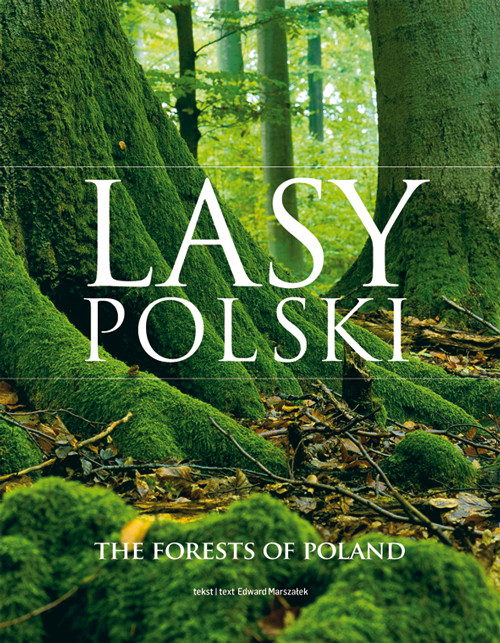 Lasy Polski. The Forests of Poland