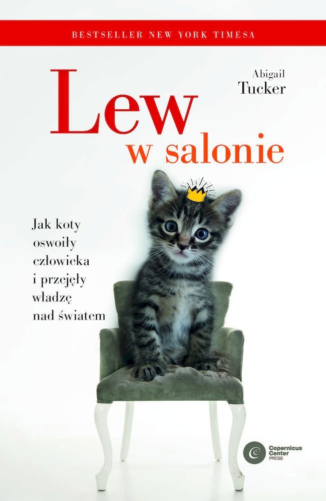 Lew w salonie