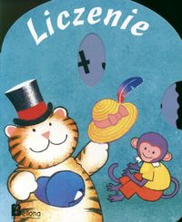Liczenie