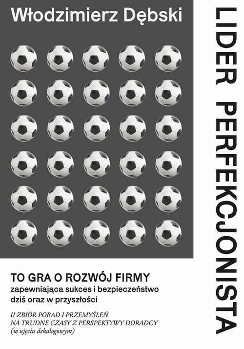 Lider perfekcjonista