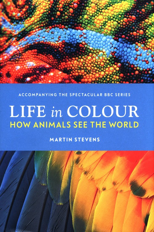 Life in Colour
