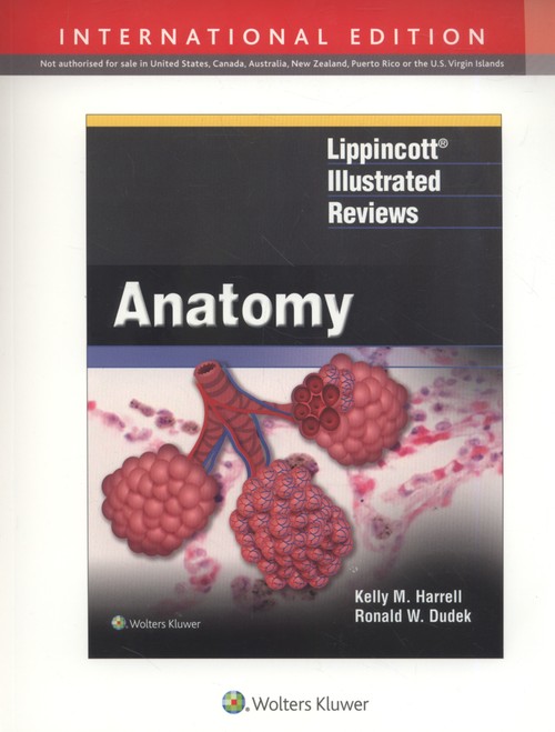 Lippincott Illustrated Reviews: Anatomy