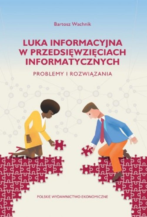 Luka informacyjna w przedsięwzięciach informatycznych.