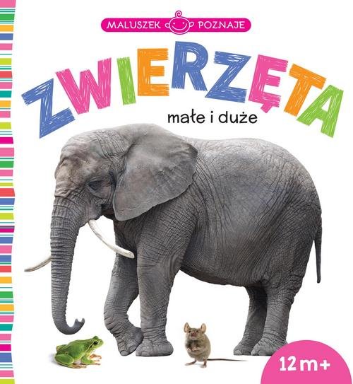 Maluszek poznaje Zwierzęta małe i duże