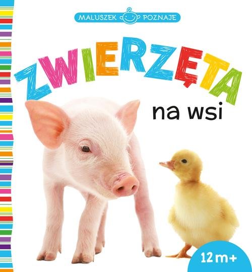Maluszek poznaje Zwierzęta na wsi