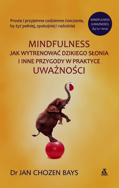 Mindfulness Jak wytrenować dzikiego słonia i inne przygody w praktyce uważności