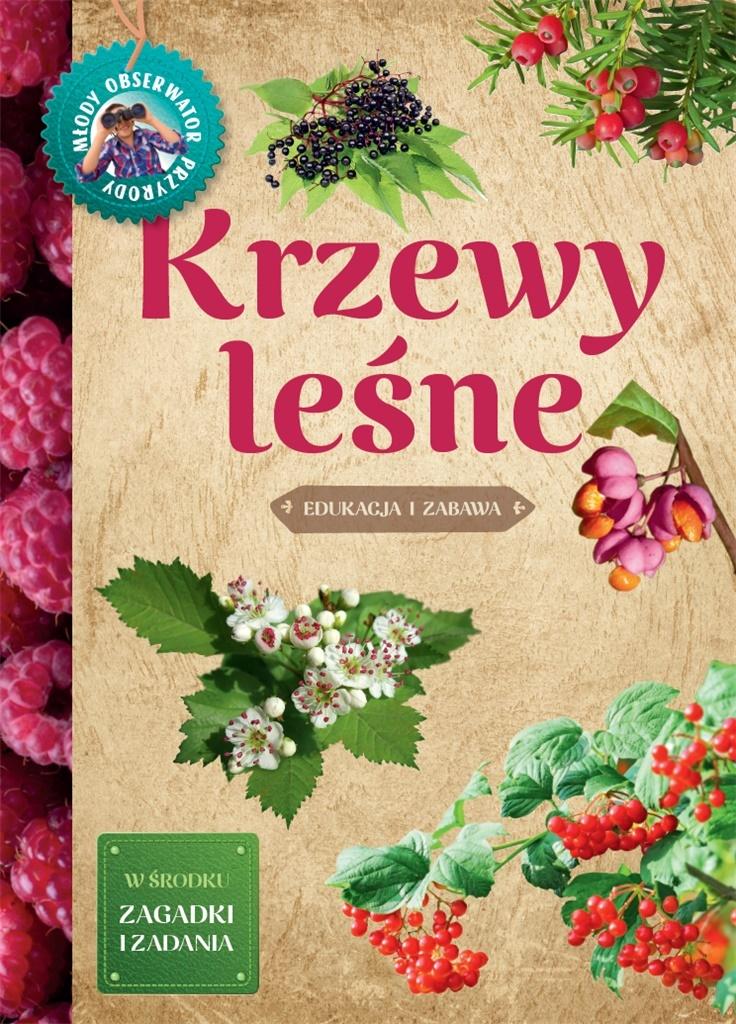 Młody obserwator przyrody. Krzewy leśne.