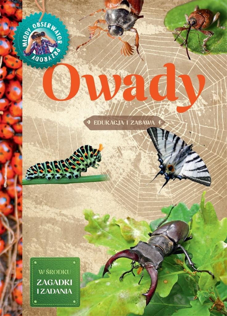 Młody Obserwator Przyrody. Owady
