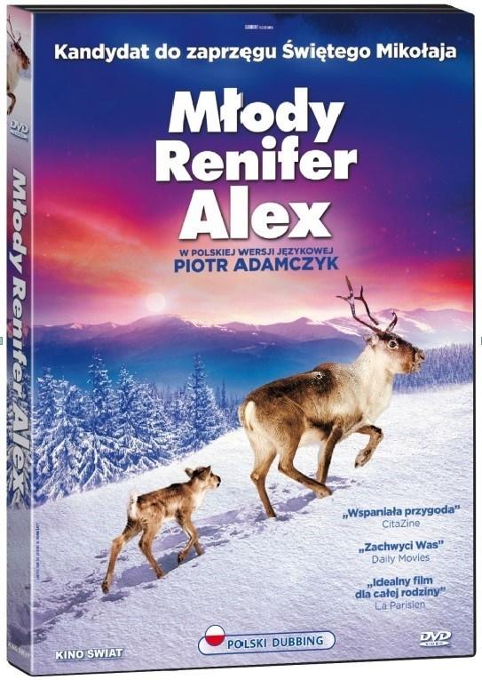 Młody renifer Alex DVD