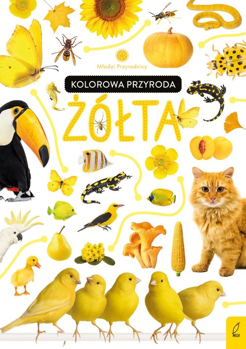 Młodzi przyrodnicy Kolorowa przyroda Żółta