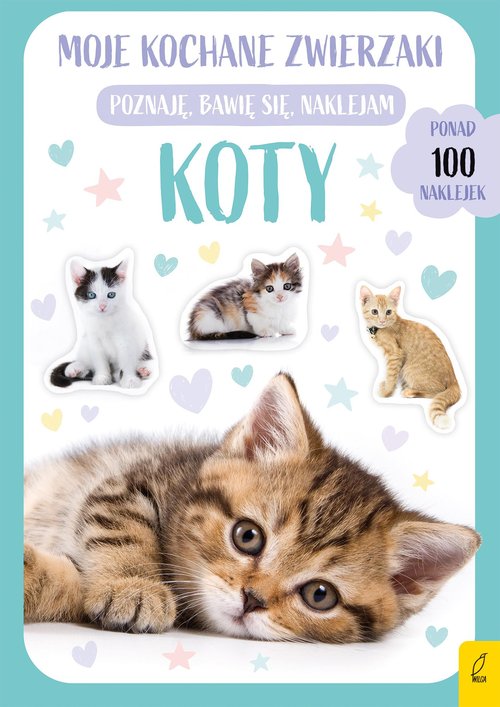 Moje kochane zwierzaki Koty