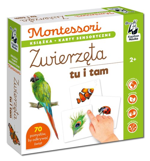 Montessori Zwierzęta tu i tam
