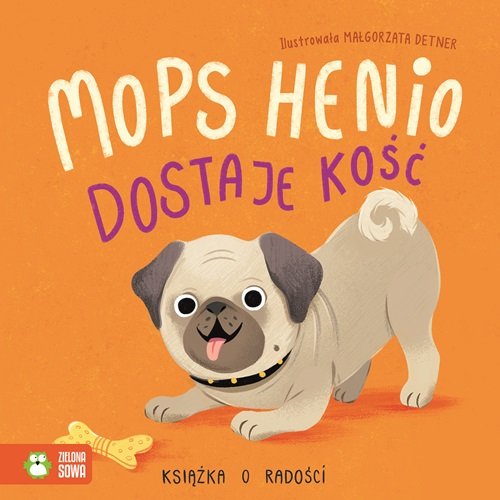 Mops Henio dostaje kość