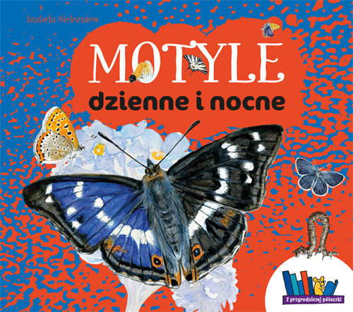 Motyle dzienne i nocne