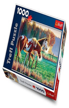 MROŹNY PORANEK NA PASTWISKU PUZZLE 1000 12+ TW