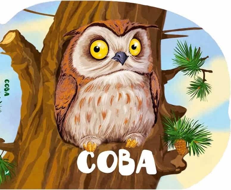 My world w.ukraińska