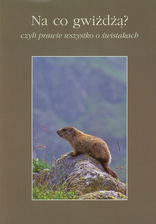 Na co gwiżdżą?