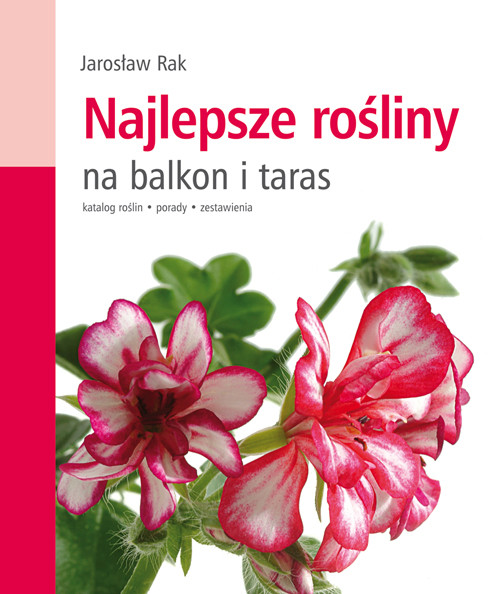 Najlepsze rośliny na balkon i taras