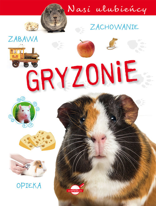 Nasi ulubieńcy Gryzonie