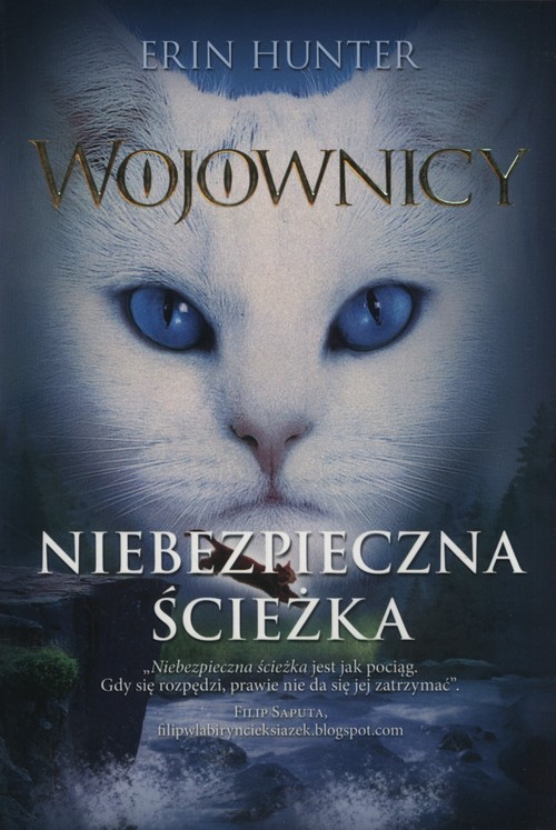 Niebezpieczna ścieżka