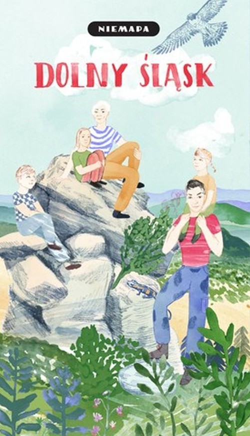 Niemapa Dolny Śląsk